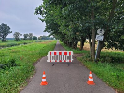 Foto zur Meldung: Baumpflegemaßnahmen am Radweg „Grüner Weg“ in Lauchhammer-Süd / Bärhaus