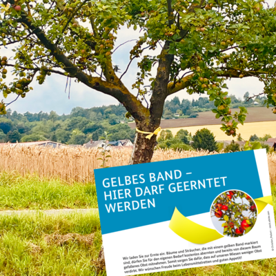 Ernteaktion "Gelbes Band" (Bild vergrößern)