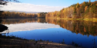 Weinberger See (Bild vergrößern)
