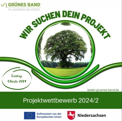 Projektwettbewerb 2024/02 gestartet