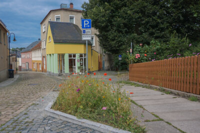 „Blühwiese an der Schneeberger Straße“ (Bild vergr&ouml;&szlig;ern)