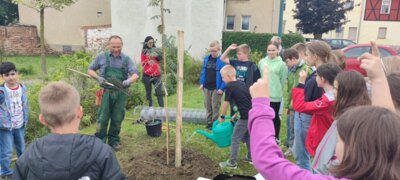 Die 4. Klasse pflanzt einen Baum