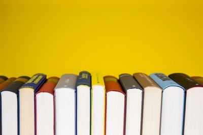 Bücherzelle an der Hauptstraße (Bild vergrößern)