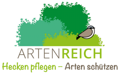 Die neuen Flyer des Projektes 