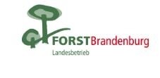 Öffentliche Bekanntmachung zum Vorhaben von Erstaufforstungen nach § 9 des Waldgesetzes des Landes Brandenburg (LWaldG) (Bild vergrößern)