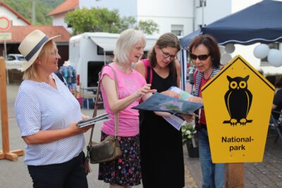 Ausflüge planen: Am Infostand des Nationalparks Kellerwald-Edersee gibt es während des Heideblütenfestes in der Dorfmitte Altenlotheims umfangreiche Informationen über das Schutzgebiet, die zahlreichen Fahrrad- und Wanderrouten – samt Kartenmaterial zur Orientierung im Reich der urigen Buchen und Eichen. Bildautor: Nationalpark Kellerwald-Edersee (Bild vergrößern)