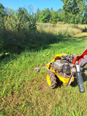 Teameinsatz des LPV Nordwestsachsen in Delitzsch (Bild vergrößern)