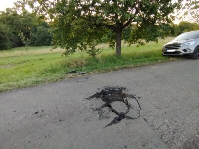 Foto zur Meldung: Zerstörungen auf einem Feldweg bei Erfweiler-Ehlingen!