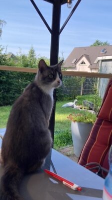 Lia fühlt sich wohl (Bild vergrößern)