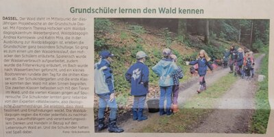 Projekttage im Wald (Bild vergrößern)