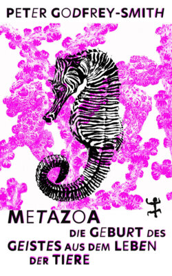 Peter Godfrey-Smith - Metazoa - Die Geburt des Geistes aus dem Leben der Tiere