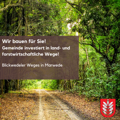 Wir bauen für Sie! Gemeinde investiert in land- und forstwirtschaftliche Wege! (Bild vergrößern)