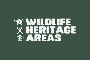 New global benchmark encourages tourists to become responsible wildlife watchers (Bild vergrößern)