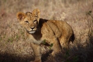 Making an impact: what our partners and examples are achieving for tourism and protected areas (Bild vergrößern)