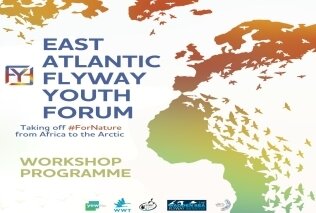 Youth wetland and migratory bird conservationists: Register now for an online forum on conservation storytelling (Bild vergrößern)