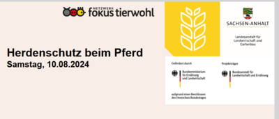 Herdenschutz beim Pferd (Bild vergrößern)
