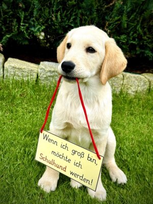 Meldung: Das Team wird größer