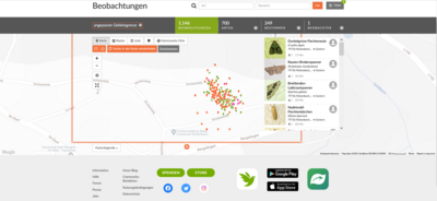 Der Hotzenwald-Naturgarten: 1000-Arten Projekt - aktueller Stand: 700 Arten!