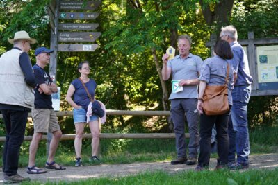 Rangerwanderung Wanderung zum Nationalpark-Jubiläum: Die Ranger des Nationalparks kennen das Schutzgebiet in- und auswendig. Während einer Wanderung zum 20-jährigen Nationalpark-Jubiläum geben sie ihr Wissen gern an die Teilnehmenden weiter. Bildautor: Nationalpark Kellerwald-Edersee (Bild vergrößern)