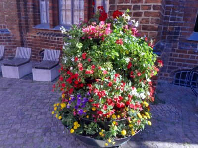 Foto: Rolandstadt Perleberg | Seit Montag verschönert die Blumenpyramide vor dem Rathaus das Stadtbild Perlebergs.