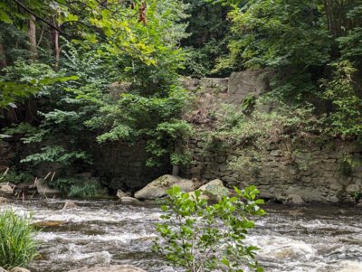 Natursteinmauer am Waldkater Foto: IG Bode-Lachs e.V
