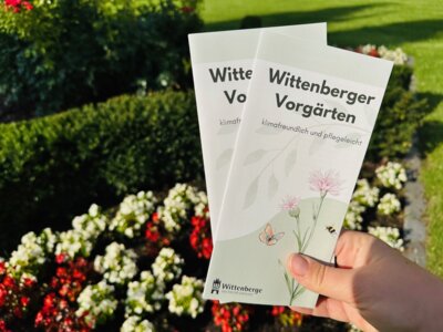 Der neue Flyer der Stadt enthält Tipps für die klimafreundliche und pflegeleichte Gartengestaltung I Foto: Martin Ferch (Bild vergr&ouml;&szlig;ern)