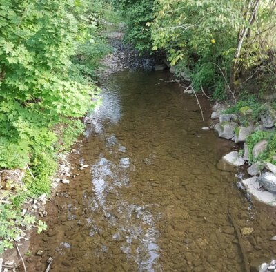 Rechtsverordnung des Landratsamtes Waldshut zur Einschränkung des wasserrechtlichen Gemeingebrauchs