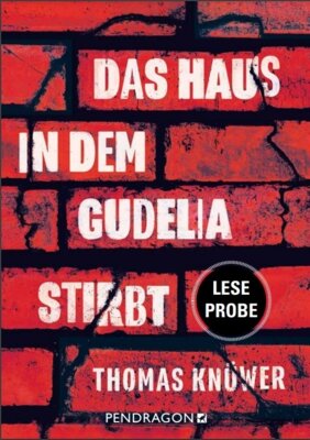 Thomas Knüwer - Das Haus in dem Gudelia stirbt