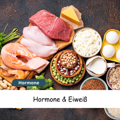 Meldung: Eiweißmangel und Hormone: Wie wichtig Eiweiß für dein hormonelles Gleichgewicht ist