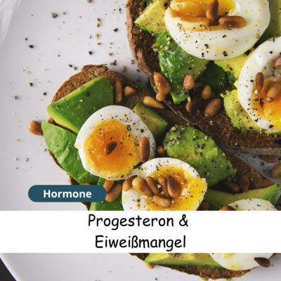 Meldung: Progesteron und Eiweißmangel