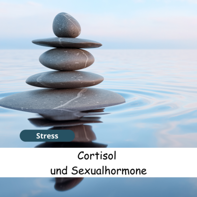 Meldung: Cortisol-Schwankungen: Wie Stress dein hormonelles Gleichgewicht beeinflusst