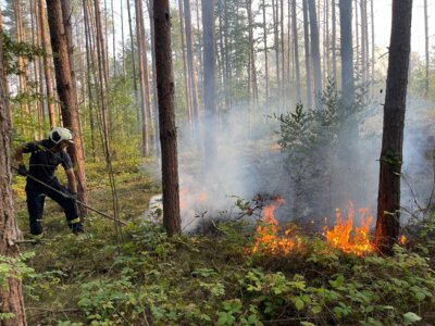 Meldung: Waldbrand