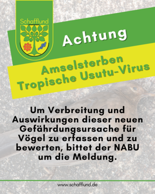 Tote Amsel gesehen? Bitte melden!