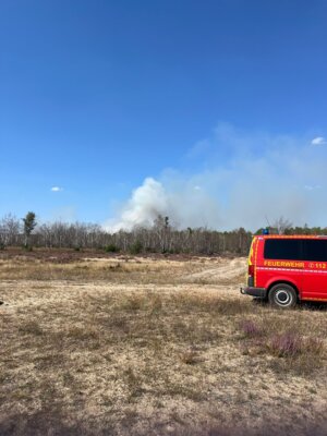 WALDBRAND JÜTERBOG (Bild vergrößern)