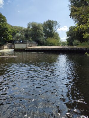 Trockene Wehrkrone in  Krottorf Foto: IG Bode-Lachs e.V