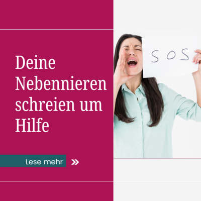 Deine Nebennieren schreien um Hilfe! Zuviel Stress? (Bild vergr&ouml;&szlig;ern)