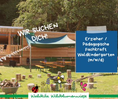 Foto zur Meldung: Wir suchen Verstärkung für unsere Waldkita Wildblumenwiese!