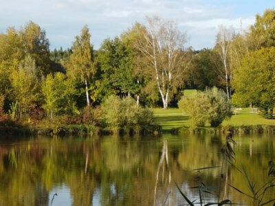 Die Nordseite des Rothsee, wo im Jahr 2025 „Bewegung beginnt hier – Sport am Rothsee“ stattfinden wird. Im Jahr 2024 trifft man sich aus organisatorischen Gründen aber noch auf der Südseite in Höhe des Wasserwachthauses / Fotograf: Sigrid Rößle (Bild vergrößern)