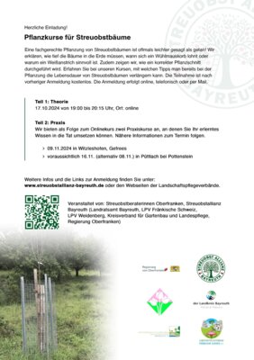 Streuobstbäume Pflanzkurs kostenlos