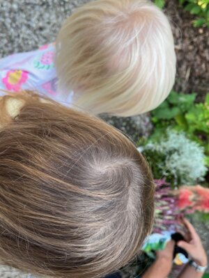 Blumenzauber im Herbst – Ein lehrreicher Tag im Familienzentrum (Bild vergrößern)