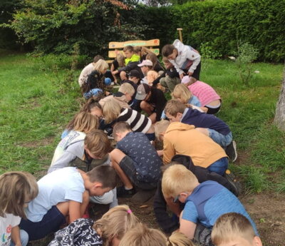 Meldung: Ein bunter Weg über die Bienenwiese