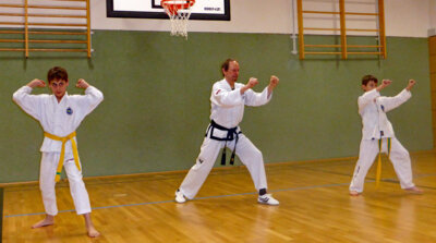 Trainerin/Trainer für die Taekwon-Do-Abteilung gesucht
