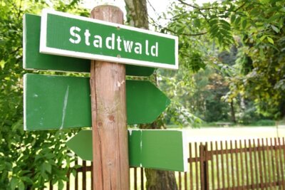 Steigende Brandgefahr in Grün- und Gehölzflächen sowie im Stadtwald Altenburg (Bild vergrößern)