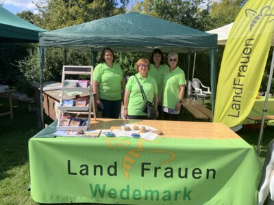 Familienfest 50 Jahre Wedemark (Bild vergrößern)