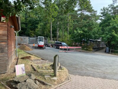 Bildunterschrift Baubeginn_Sanitäranlage_WildtierPark Bauauftakt: Mit den ersten Baggerarbeiten beginnt am heutigen Mittwoch der Bau der neuen Sanitäranlagen zwischen BuchenHaus und dem gastronomischen Außenbereich der Bericher Hütte am WildtierPark Edersee. Bildautor: Nationalpark Kellerwald-Edersee (Bild vergrößern)
