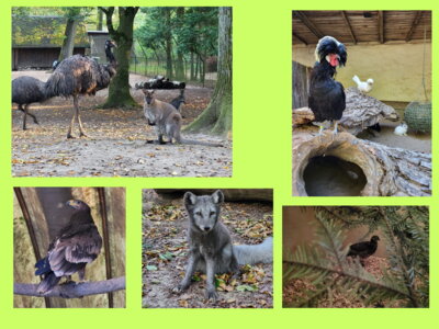 Foto zur Meldung: Was gibt es Neues im Tierpark ?