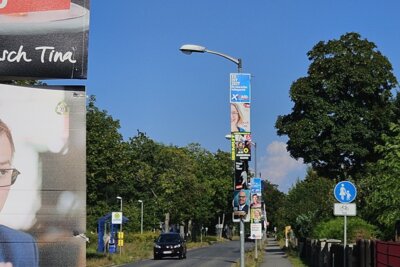 Wahlplakate in Schulzendorf. Foto: Dörthe Ziemer (Bild vergrößern)