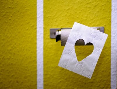 Bitte keine Hygieneartikel in die Toilette werfen! (Bild vergr&ouml;&szlig;ern)