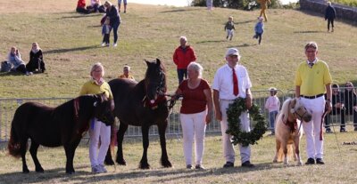 Link zu: Bundesoffene Stutenschau Robustpony im Rahmen des Landeserntedankfestes in Magdeburg