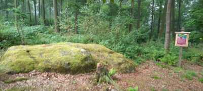 Unsere Natur vor der Haustür: Der Uhlenstein im Bramwald